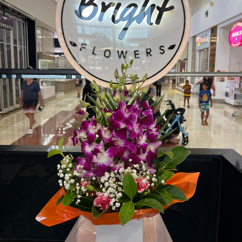 Elegant Purple Orchid Mixed Box