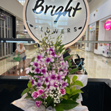 Exotic Purple Orchid Mixed Box