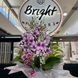 Exotic Purple Orchid Mixed Box