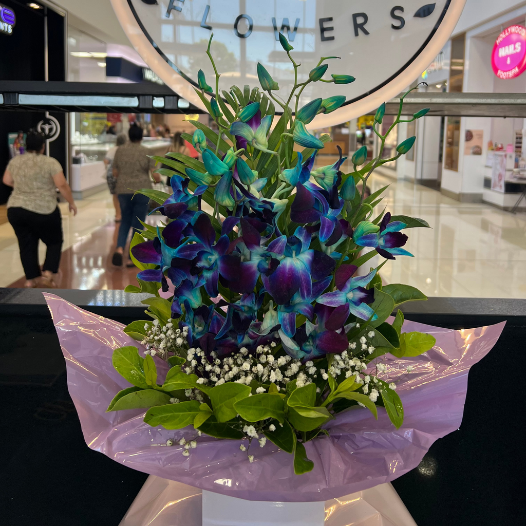 Exotic Blue - Purple Orchid Box